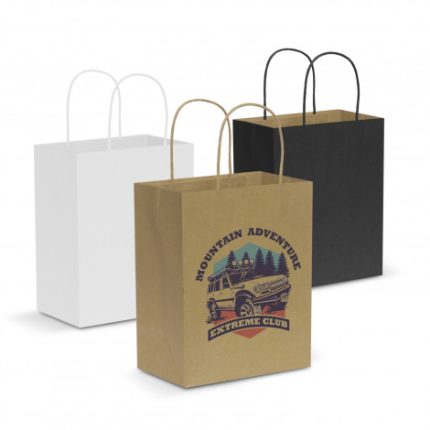 Paper Carry Bag - Medium | PT892413 | Main